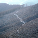 Image for article titled Breathtaking and Horrifying Images of Nature's Destructive Power